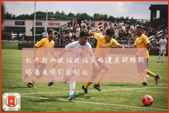 红牛新加坡站进站策略遭质疑维斯塔潘表现引发讨论